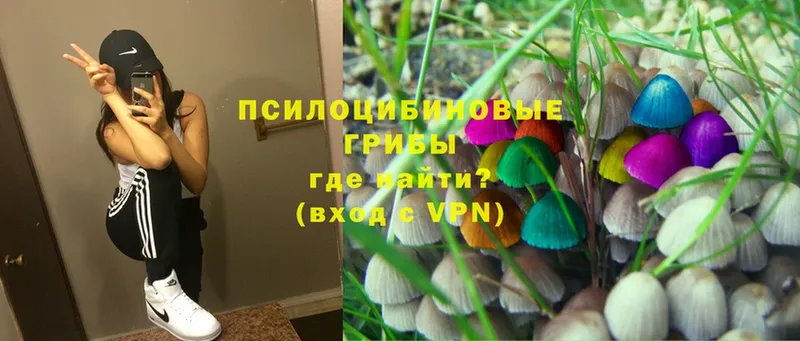 OMG онион  Канаш  Галлюциногенные грибы Magic Shrooms 