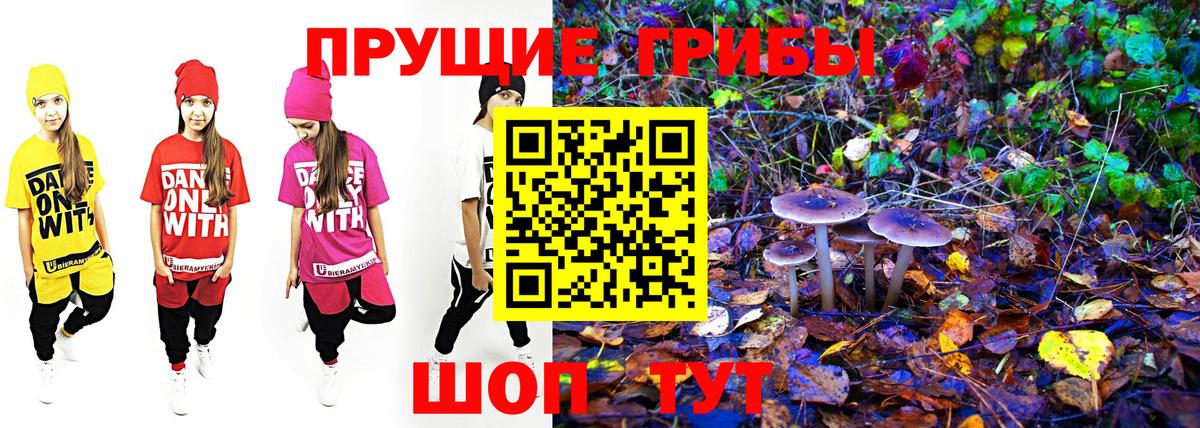 Псилоцибиновые грибы Cubensis  где купить наркоту  Канаш 