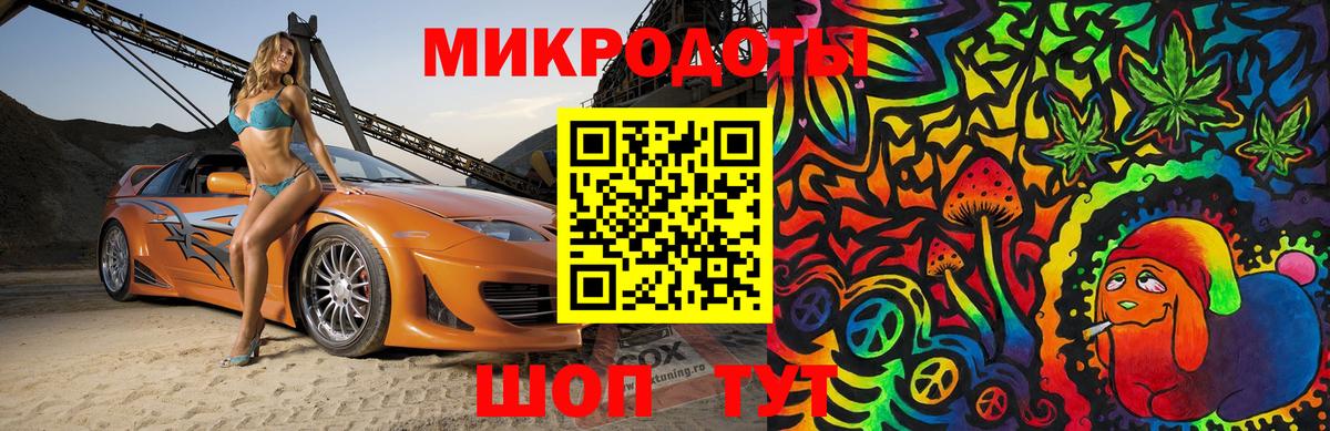 Галлюциногенные грибы Psilocybe Канаш