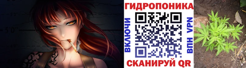 как найти закладки  Канаш  Канабис White Widow 